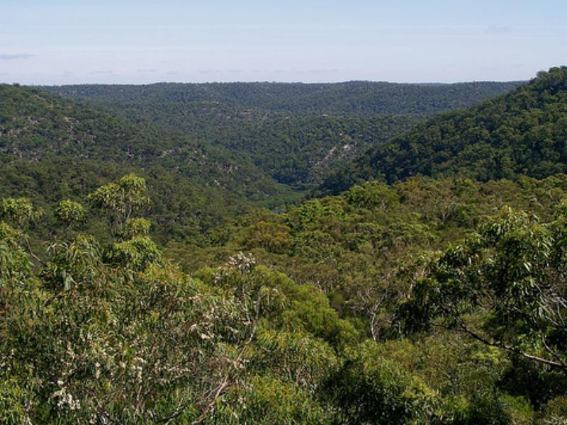 Berowra